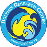 Logo 9